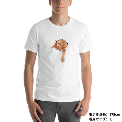 猫tシャツ ねこ 猫イラスト3D CAT 4 可愛い｜アダルト&キッズサイズ