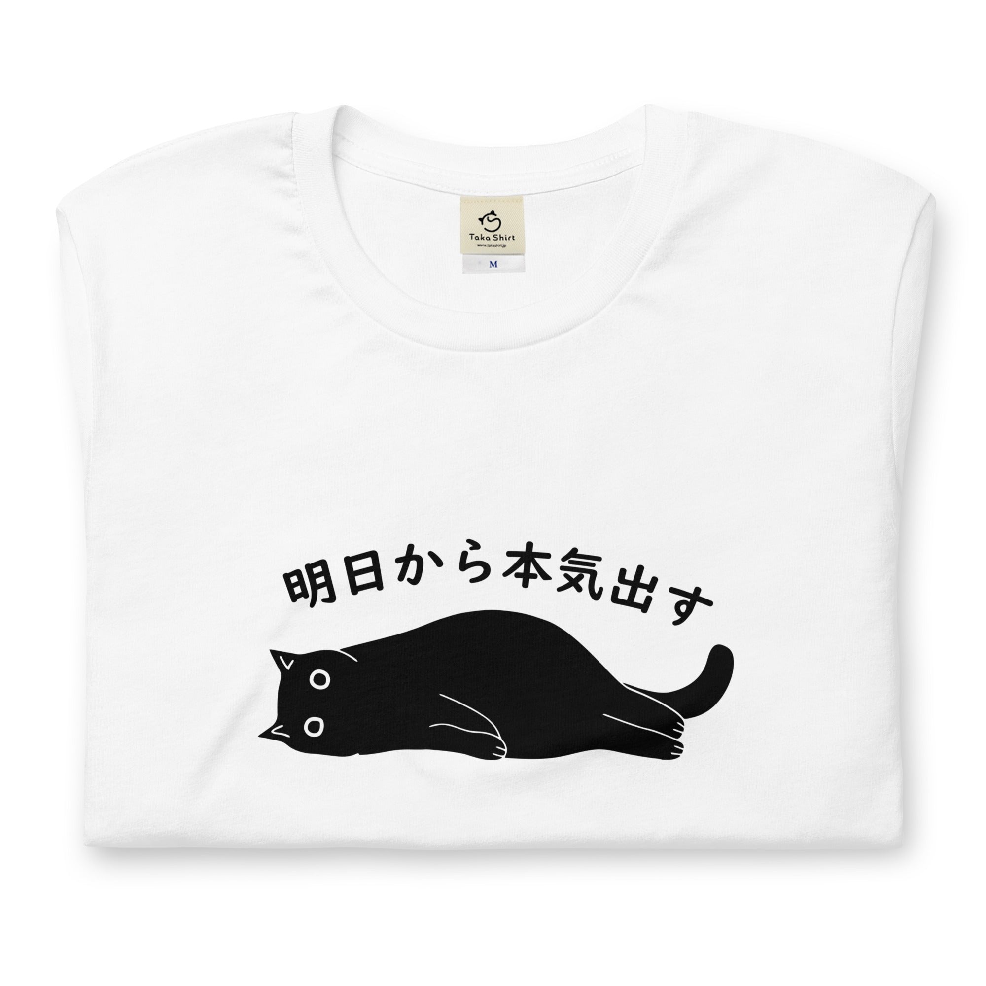 36,999円売り切れました☆ZARA☆後ろ猫Tシャツ