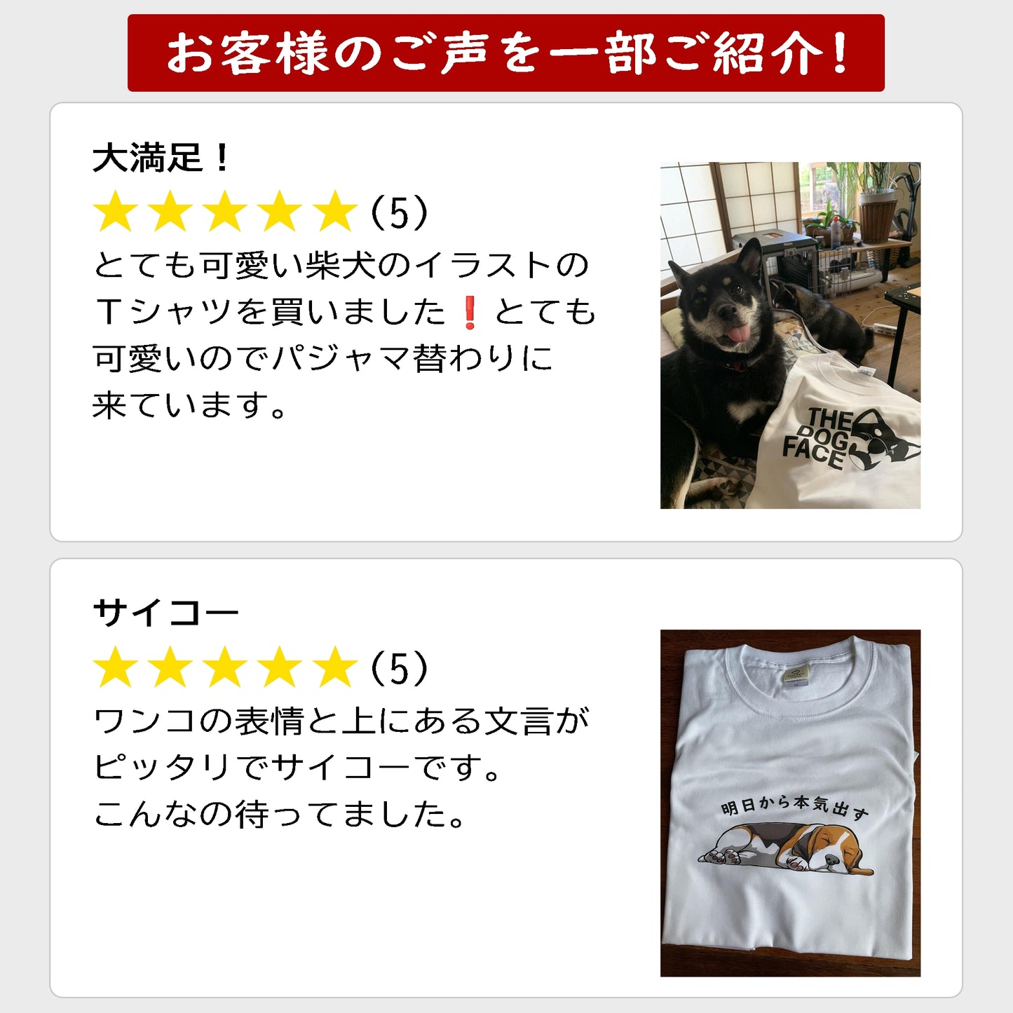 犬 tシャツ 犬イラスト 柴犬 明日から本気出す ｜アダルト&キッズサイズ