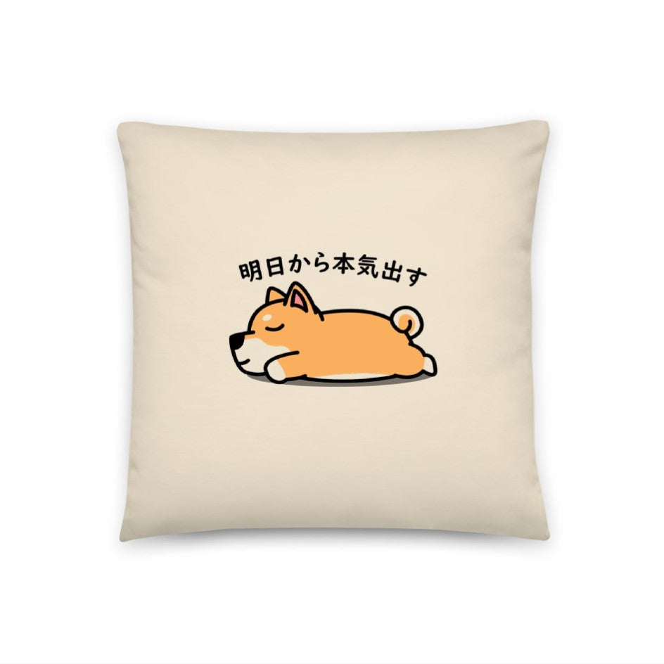 ☆限定SALE☆クッションカバー 45×45 インテリア ねこ 猫 かわいい