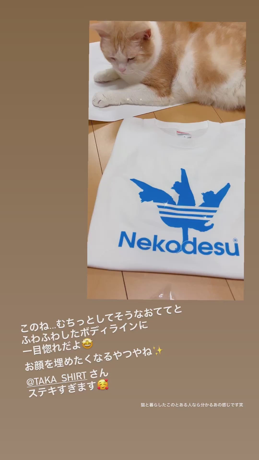 猫tシャツ ねこ 猫イラスト Nekodesu｜アダルト&キッズサイズ – Takashirt