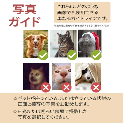 【クリスマス限定商品】【写真入れ・名入れ】うちの子 オリジナル クリスマス プレゼント ペット猫 犬 写真カスタマイズ